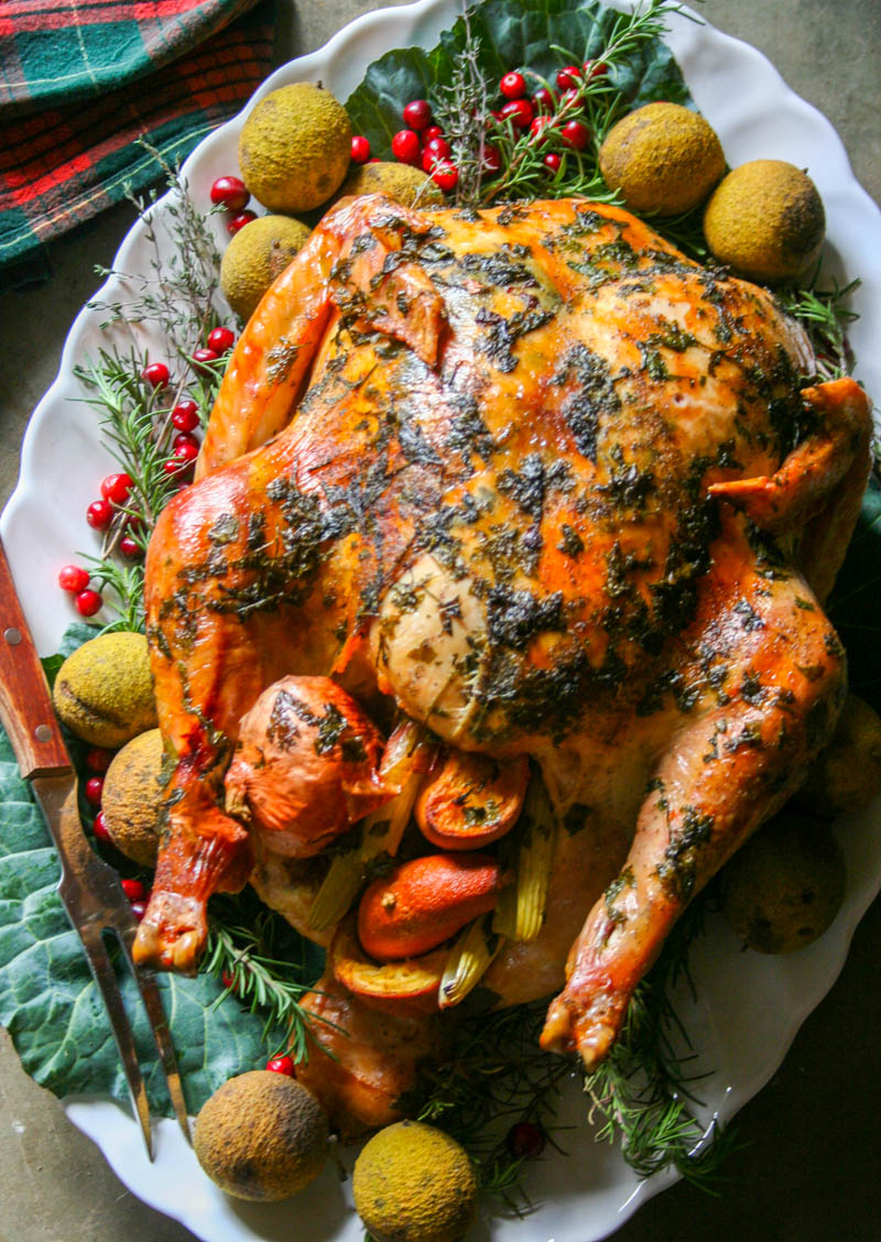 The Perfect Turkey – The Bitter Socialite